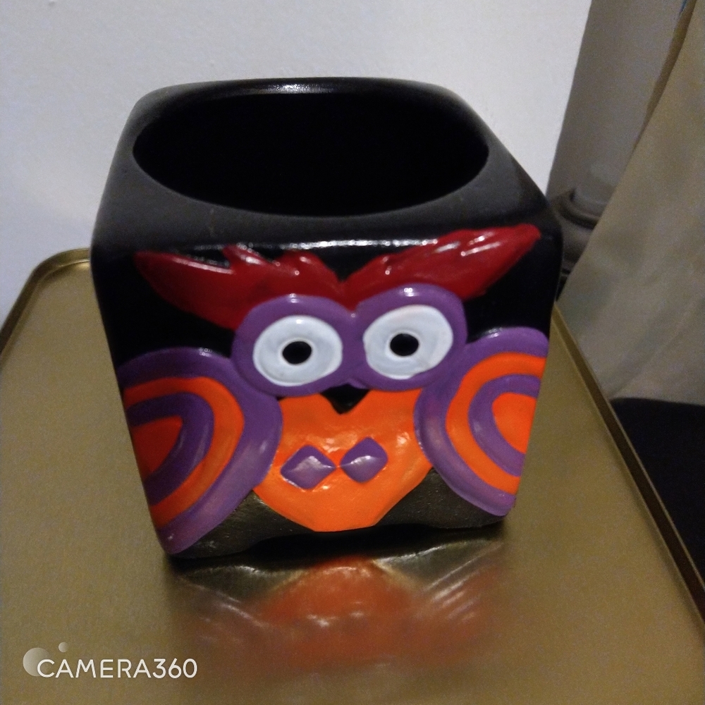 Painted Owl Ceramic planter black